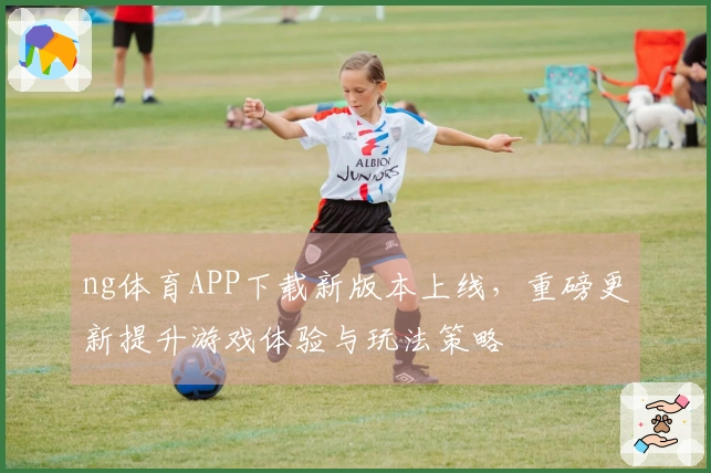ng体育APP下载新版本上线，重磅更新提升游戏体验与玩法策略