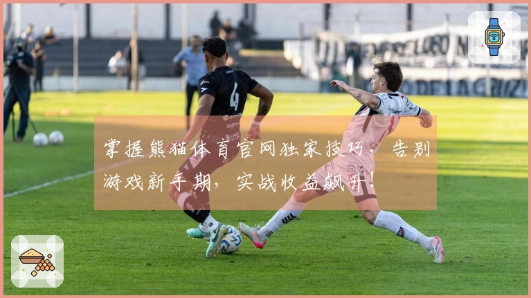 掌握熊猫体育官网独家技巧，告别游戏新手期，实战收益飙升！