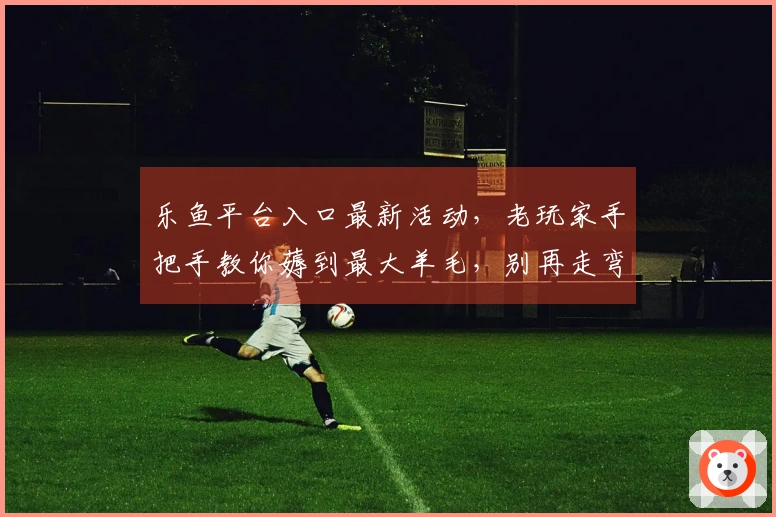 乐鱼平台入口最新活动，老玩家手把手教你薅到最大羊毛，别再走弯路了！