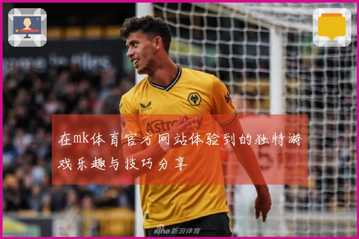 在mk体育官方网站体验到的独特游戏乐趣与技巧分享