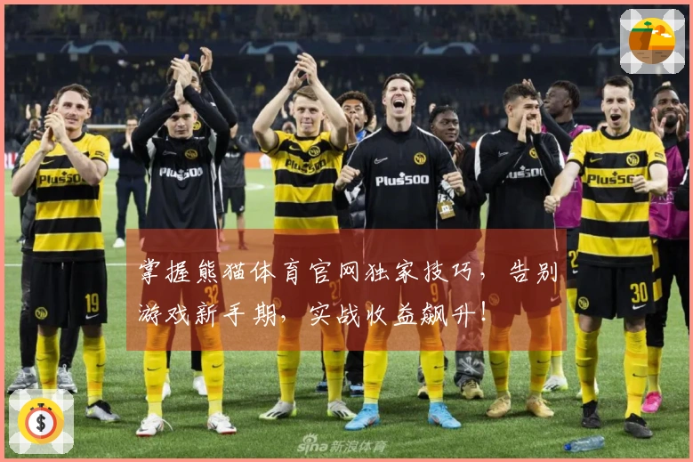 掌握熊猫体育官网独家技巧，告别游戏新手期，实战收益飙升！