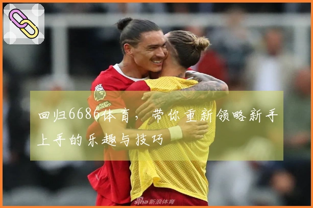 回归6686体育，带你重新领略新手上手的乐趣与技巧