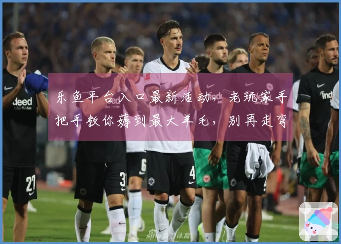 乐鱼平台入口最新活动，老玩家手把手教你薅到最大羊毛，别再走弯路了！